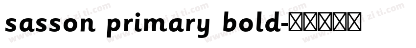 sasson primary bold字体转换